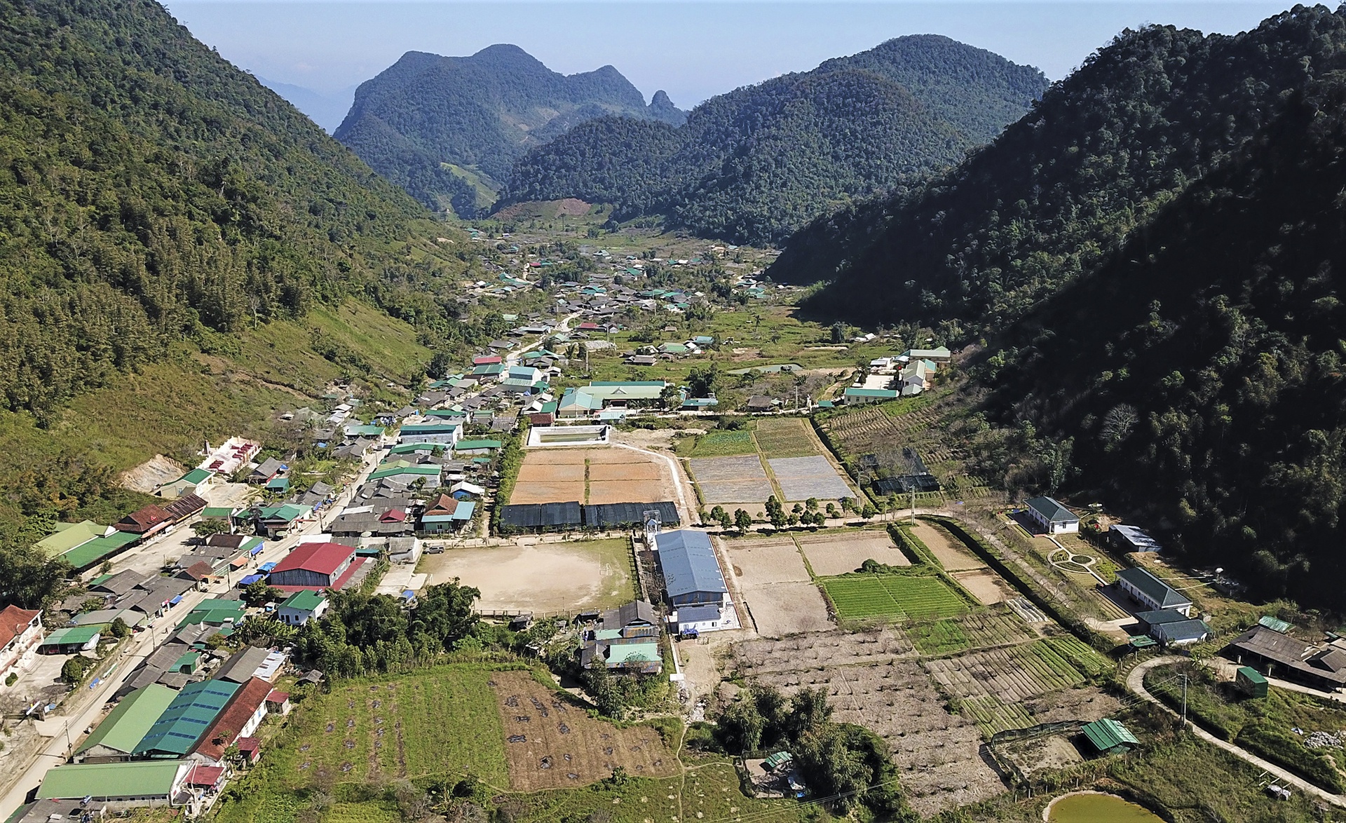 Chưa đến Tết, 'thủ phủ' đào, mai hoa đã nở rực rỡ, nông dân lo thất thu - Ảnh 7.