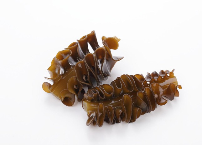 Những điều kỳ diệu chưa biết về tảo nâu Mekabu - Ảnh 1.