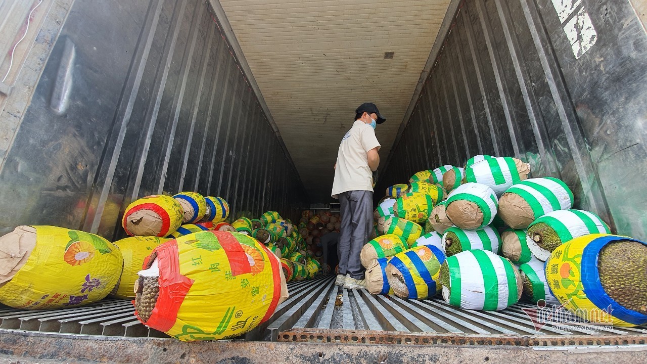 Trăm nghìn tấn trái cây ùn ứ cửa khẩu, người dân Lạng Sơn ngợp trong “biển” mít - Ảnh 9.
