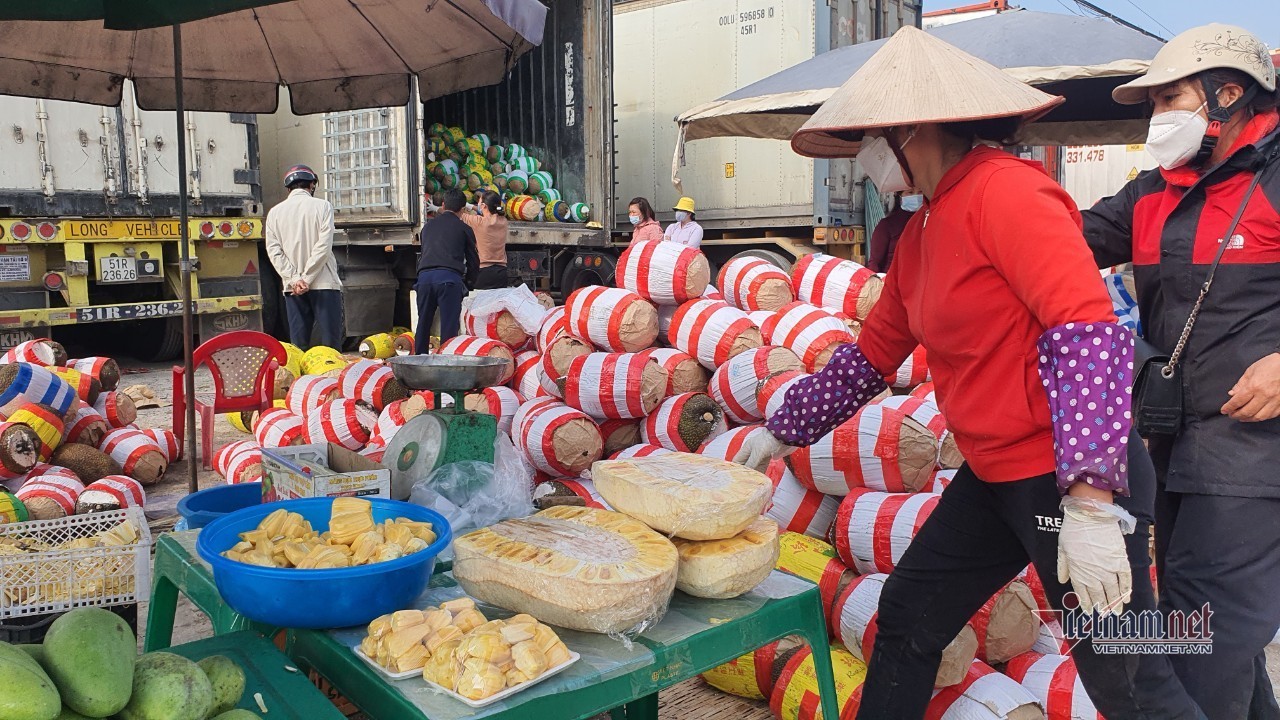 Trăm nghìn tấn trái cây ùn ứ cửa khẩu, người dân Lạng Sơn ngợp trong “biển” mít - Ảnh 12.
