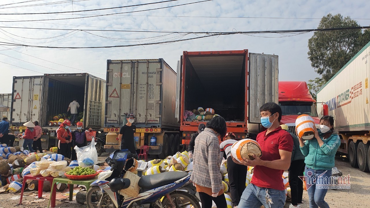 Trăm nghìn tấn trái cây ùn ứ cửa khẩu, người dân Lạng Sơn ngợp trong “biển” mít - Ảnh 3.