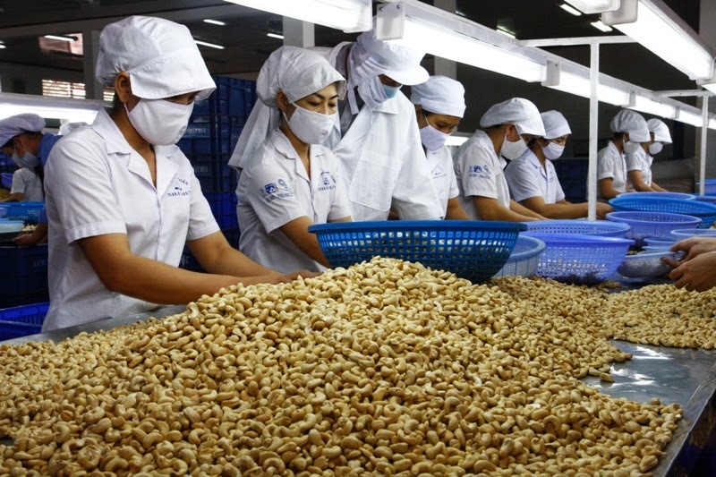 Việt Nam phải nhập gạo, điều, hạt tiêu... con số gây 'choáng' - Ảnh 2.