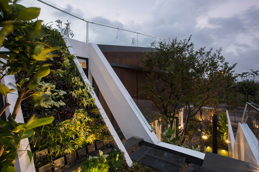 Biệt thự thiết kế vừa hiện đại vừa thực dụng với vườn rau trên sân thượng - Ảnh 20.