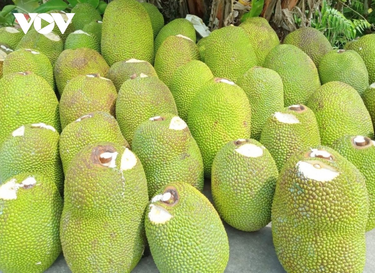 Gi&aacute; m&iacute;t Th&aacute;i ở ĐBSCL đ&atilde; xuống 4.000/kg nhưng rất&nbsp;kh&oacute; ti&ecirc;u thụ - Ảnh 8.