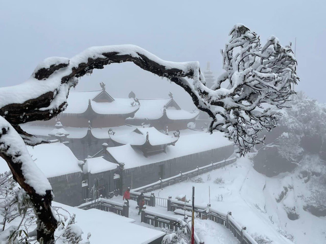 Sự thật về những hình ảnh tuyết rơi tuyệt đẹp ở Sa Pa khiến dư luận ngỡ ngàng - Ảnh 5.