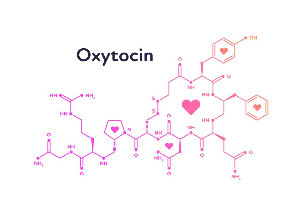 Cách xác định các cơn co thắt chuyển dạ - Ảnh 1.