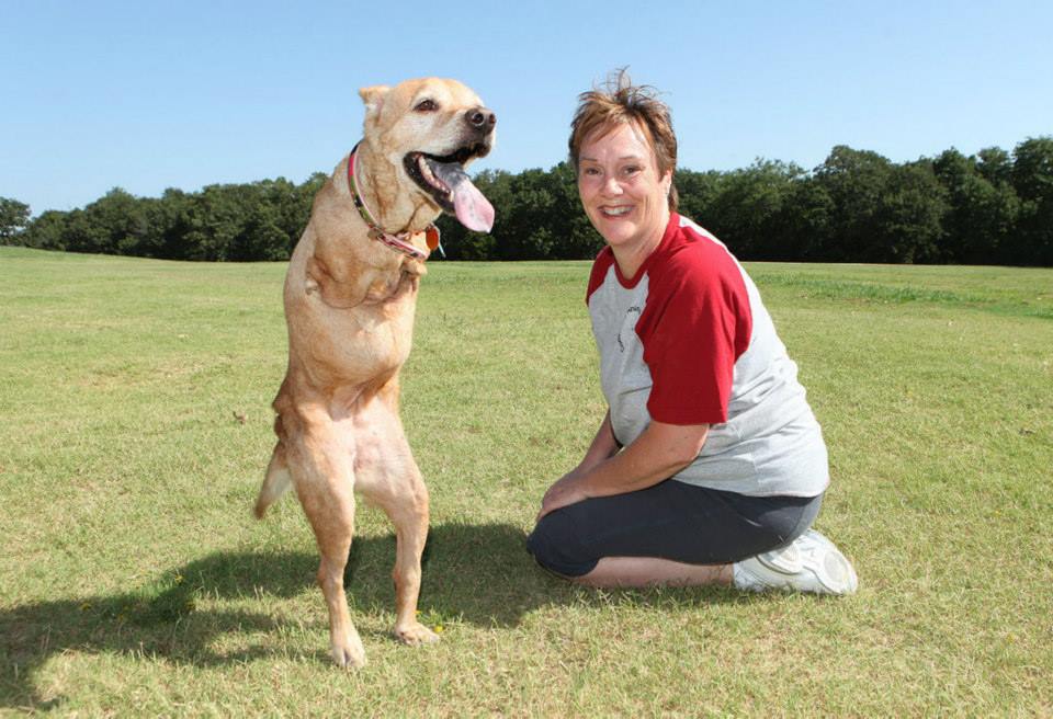 Thrown out onto the street by her owner because of her deformity, the two-legged dog teaches the world a lesson of extraordinary strength - Photo 6.