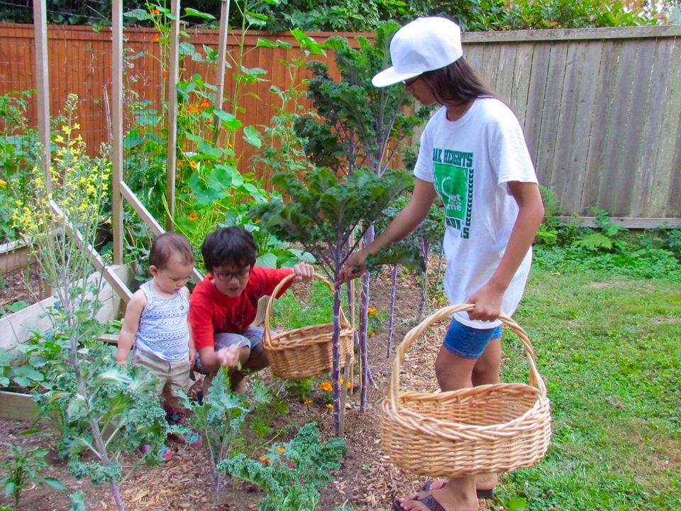 Bà mẹ 4 con dành cả thanh xuân để tạo lập khu vườn trồng cây ăn trái cùng đủ loại rau xanh - Ảnh 1.