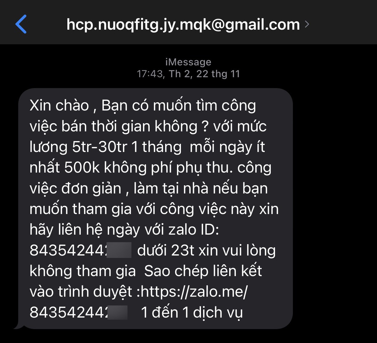 Rộ tin nhắn dụ xin việc mức lương 30 triệu đồng dịp cuối năm - Ảnh 1.