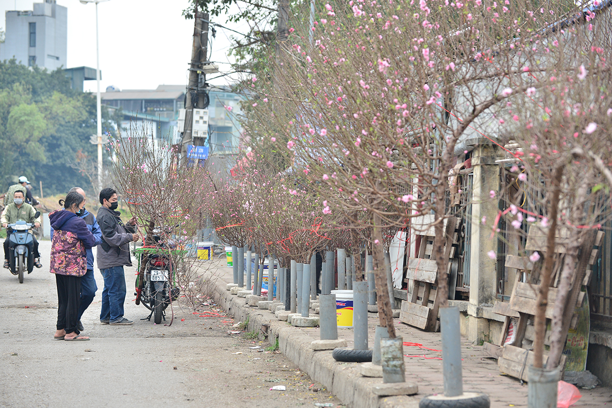 Người dân tấp nập tìm đến làng hoa Nhật Tân chọn mua đào chơi rằm - Ảnh 1.