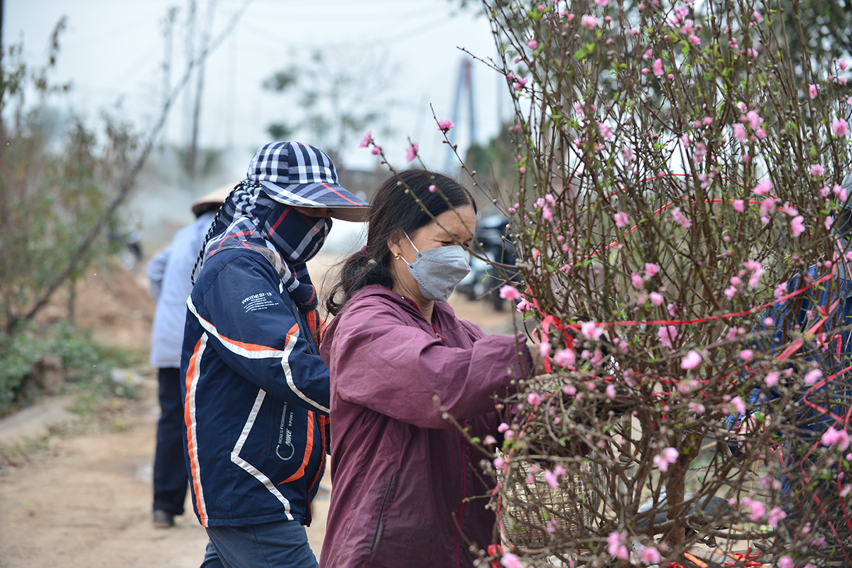 Người dân tấp nập tìm đến làng hoa Nhật Tân chọn mua đào chơi rằm - Ảnh 11.