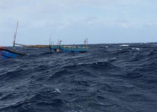 Thừa Thiên Huế: Tàu cá cùng 12 ngư dân bị tàu hàng nước ngoài đâm chìm - Ảnh 1.