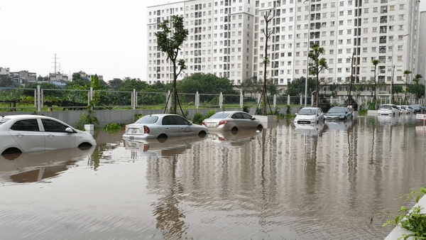 Chung cư ở Hà Nội ngập sâu, hàng loạt xế hộp bị nhấn chìm sau trận mưa lớn đầu tuần - Ảnh 1.