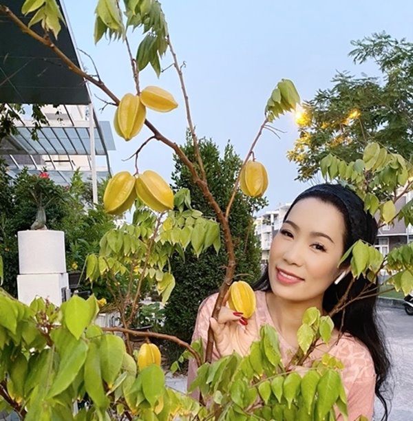 Chiêm ngưỡng khu vườn đầy hoa trái nhà Á hậu Trịnh Kim Chi - Ảnh 9.