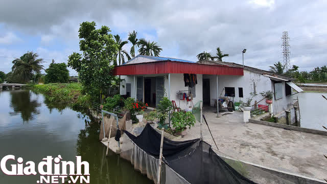 Vụ 3 cán bộ công an quận Đồ Sơn bị bắt: Tố cáo không phải vì “đấu đá” ai - Ảnh 2.