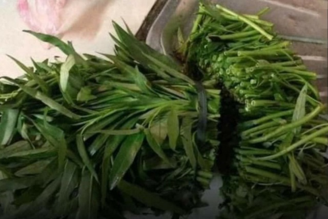 Rau muống là một loại rau phổ biến trong chế độ ăn uống của người Việt Nam. Với vị ngọt thanh mát và giàu chất dinh dưỡng, rau muống đã trở thành nguồn cung cấp dinh dưỡng quan trọng cho mọi gia đình. Hãy cùng chúng tôi khám phá những hình ảnh tuyệt đẹp về loại rau này.