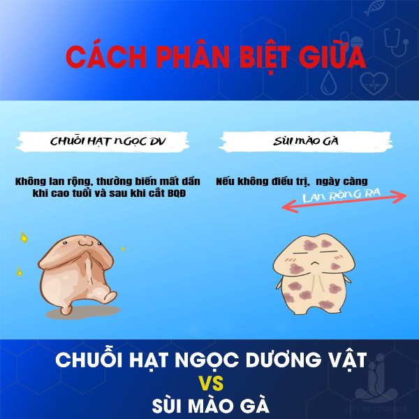  Mất 32 triệu đồng chữa chuỗi hạt ngọc vẫn không khỏi  - Ảnh 1.