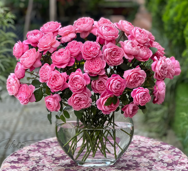 Cắm hoa hồng ngoại tạo ra một không gian sống sang trọng và đầy nữ tính. Với đèn chiếu sáng tinh tế và tầm quan sát của bạn, mỗi bông hoa hồng ngoại đều sẽ trở nên sống động và tôn lên vẻ đẹp tự nhiên của chúng.