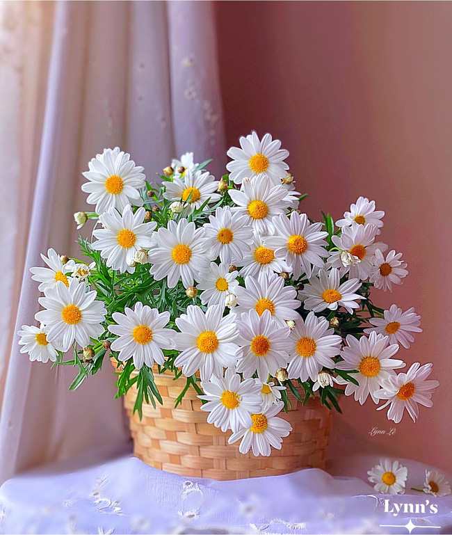 Cúc dại là một loại hoa bình dân và đơn giản, nhưng không kém phần đẹp đẽ. Khi kết hợp với kỹ năng vẽ hoa cúc trắng, bạn sẽ tạo ra những tác phẩm tuyệt đẹp và thú vị. Hãy xem ảnh để khám phá cách vẽ hoa cúc trắng hiệu quả nhất.