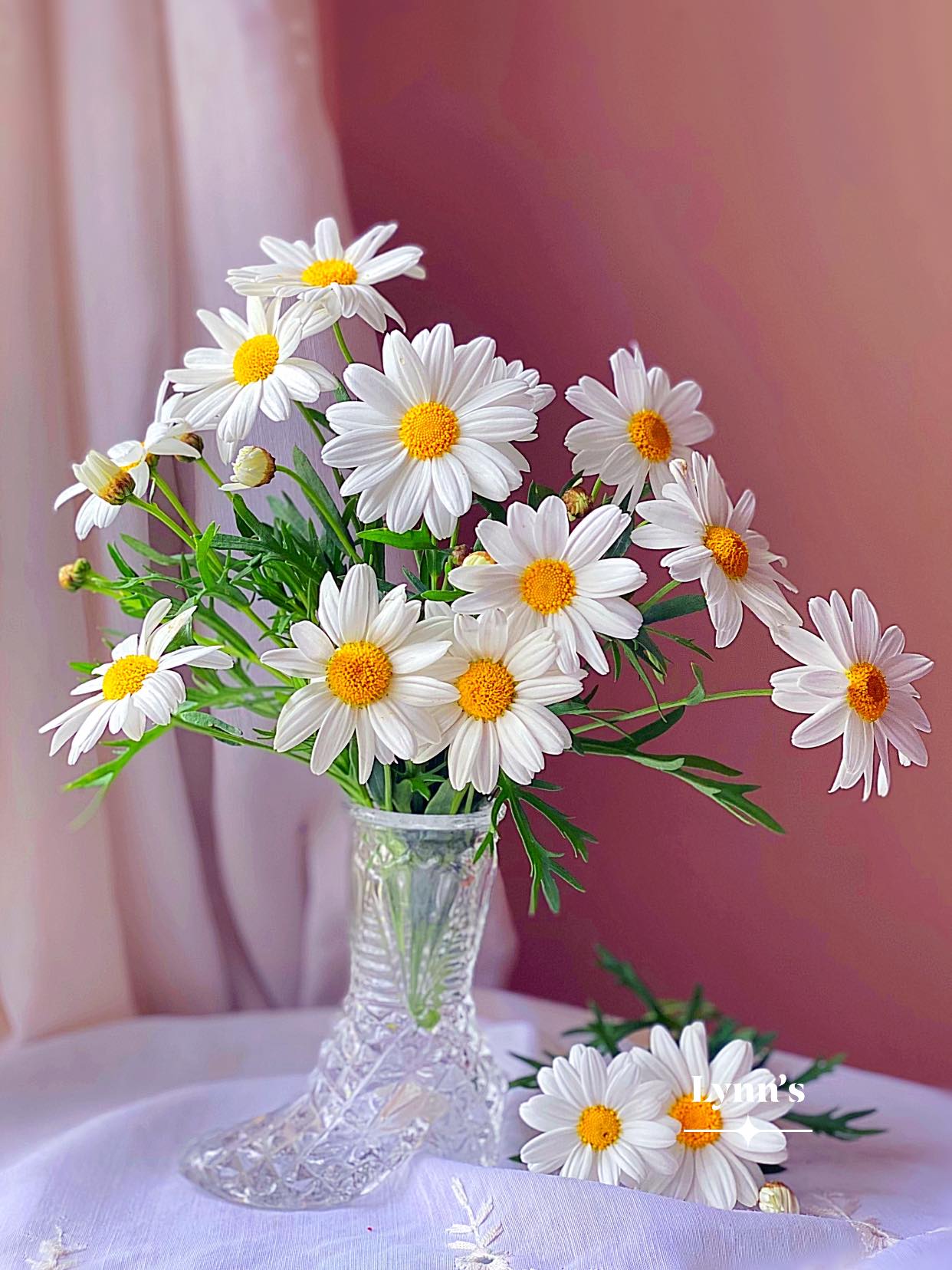 Không cần phải là một họa sĩ giỏi để vẽ được hoa cúc trắng xinh đẹp. Bạn chỉ cần đọc qua hướng dẫn cách vẽ hoa cúc trắng đơn giản và bắt đầu tạo ra những bông hoa tuyệt đẹp chỉ với một số nét tay thôi.