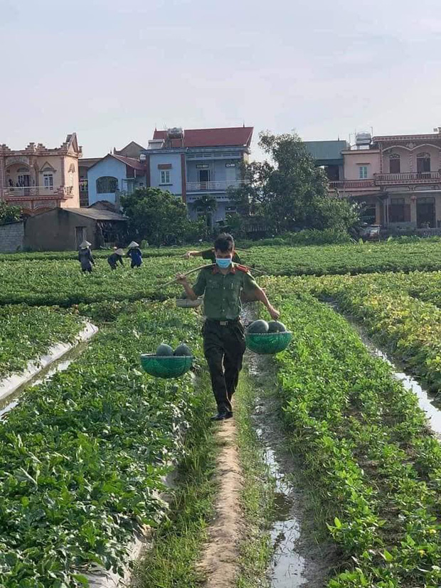  Nắng nóng gay gắt, công an Bắc Giang phơi mình giúp người dân thu hoạch dưa hấu - Ảnh 3.