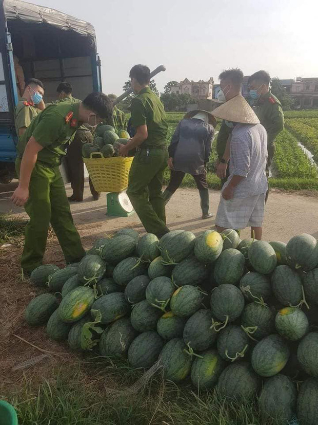  Nắng nóng gay gắt, công an Bắc Giang phơi mình giúp người dân thu hoạch dưa hấu - Ảnh 4.