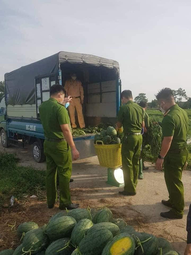  Nắng nóng gay gắt, công an Bắc Giang phơi mình giúp người dân thu hoạch dưa hấu - Ảnh 5.