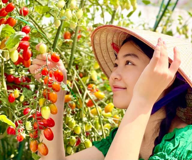 Đội nón lá ra vườn thu hoạch cà chua mà con gái Lọ Lem của Quyền Linh vẫn gây xao xuyến  - Ảnh 3.