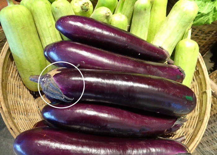 Người trồng cây mách 4 mẹo chọn cà tím - Ảnh 3. Người trồng cây mách 4 mẹo chọn cà tím - Ảnh 3.