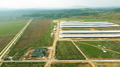 Siêu dự án trang trại của Vinamilk tại Lào sẽ “cho sữa” vào đầu năm 2022 - Ảnh 1.