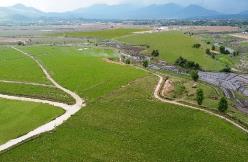 Siêu dự án trang trại của Vinamilk tại Lào sẽ “cho sữa” vào đầu năm 2022 - Ảnh 3.