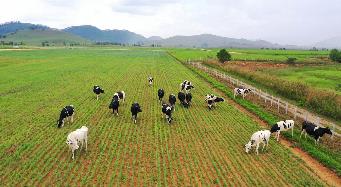 Siêu dự án trang trại của Vinamilk tại Lào sẽ “cho sữa” vào đầu năm 2022 - Ảnh 5.