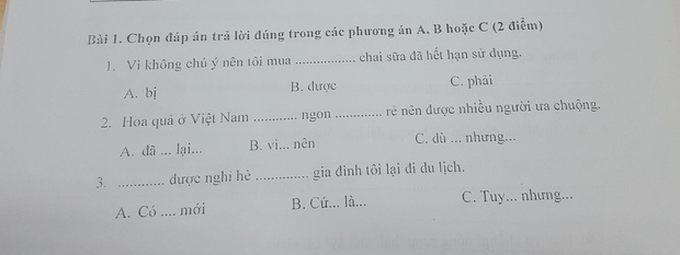  Bài thi năng lực tiếng Việt ở Nhật toàn ngữ pháp khó, đến người Việt cũng xin bó tay - Ảnh 1.