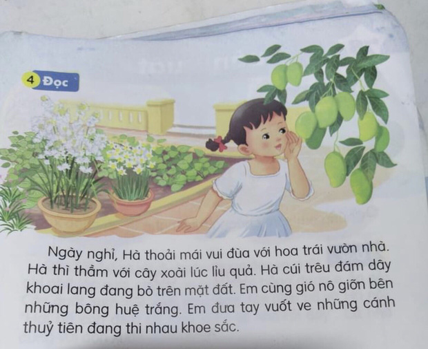Bài tập Tiếng Việt lớp 1 xuất hiện từ ngữ khó, đến người lớn cũng khó làm - Ảnh 1.