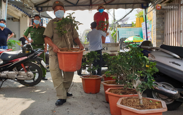 Người dân Sài Gòn trong khu cách ly thi trồng cây táo, chờ táo nở hoa - Ảnh 5.