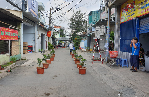 Người dân Sài Gòn trong khu cách ly thi trồng cây táo, chờ táo nở hoa - Ảnh 7.