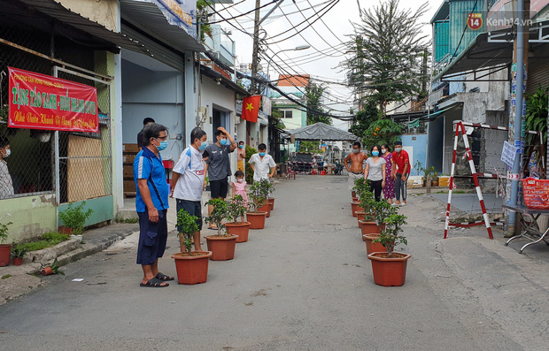 Người dân Sài Gòn trong khu cách ly thi trồng cây táo, chờ táo nở hoa - Ảnh 9.