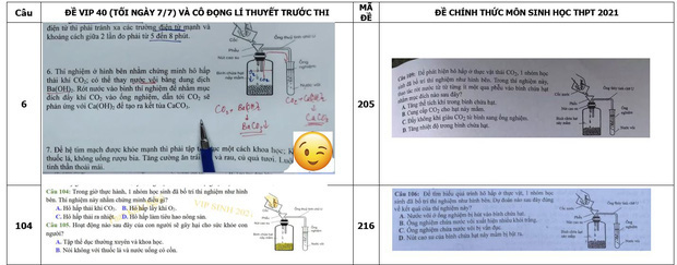 Thông tin mới nhất về vụ nội dung ôn tập bị tố giống 80% đề thi môn Sinh của thầy Phó Hiệu trưởng - Ảnh 3.