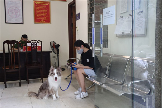 Dắt chó đi dạo, cô gái trẻ bị phạt 2 triệu đồng trong ngày đầu Hà Nội giãn cách: Tôi cho chó ra ngoài đi vệ sinh... chỉ ra ngoài 2 phút thôi - Ảnh 1.
