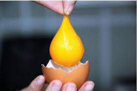 Có thể bạn chưa biết: Những loại trứng gà có giá lên đến 100.000 đồng/quả - Ảnh 6.