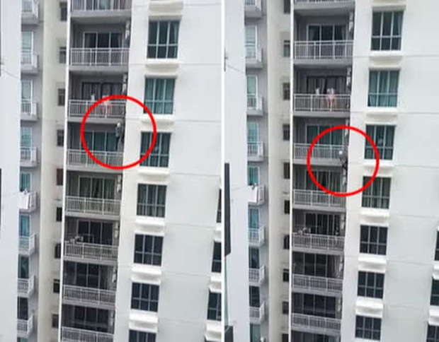  Người nhện tay cầm súng leo từ tầng 14 đến tầng 18 rồi lại ngược trở xuống, toàn bộ sự việc khiến ai nấy đều phải nín thở vì sợ hãi - Ảnh 2.