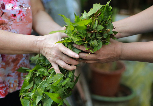  Ấm lòng: Giữa những ngày giãn cách ở Hà Nội, 2 nữ lao công vẫn đều đặn tặng rau miễn phí cho người dân - Ảnh 9.