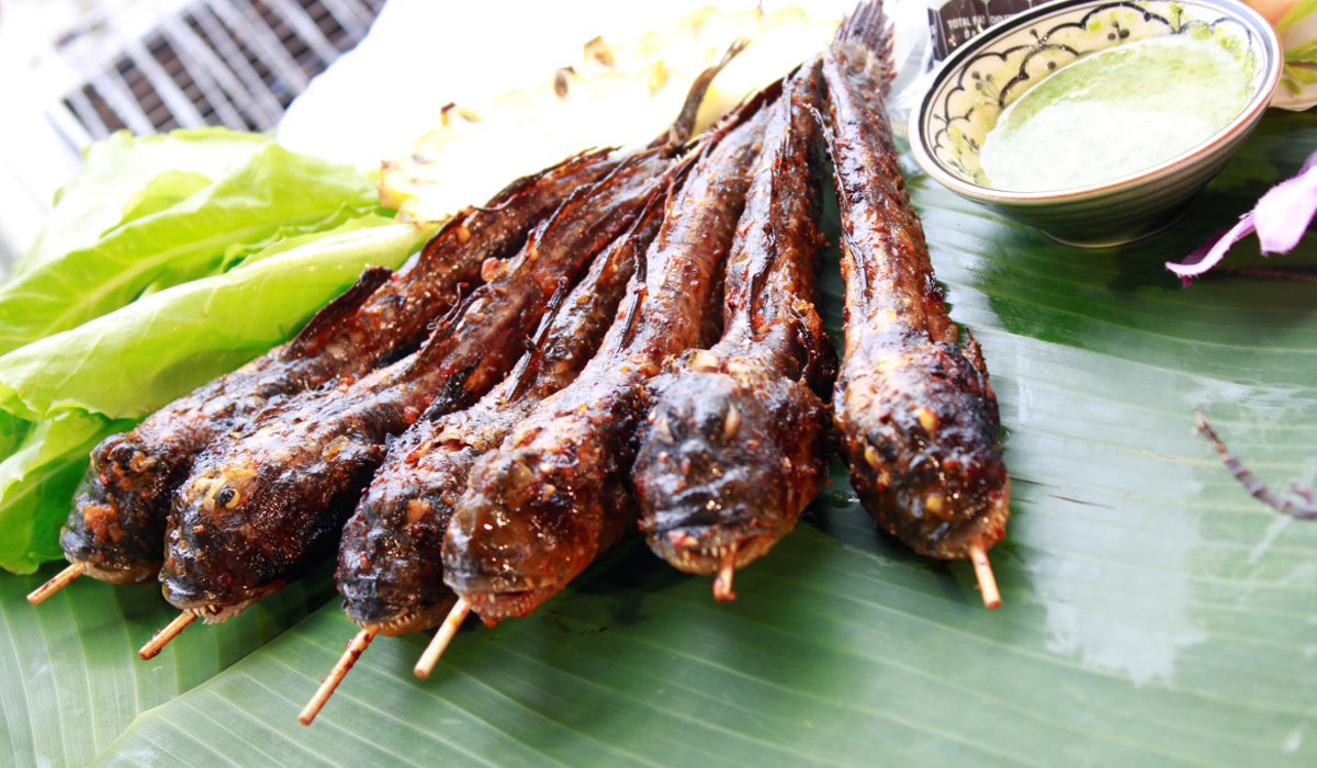 Vùng này ở Việt Nam có loài cá biết leo cây, chạy nhảy được xếp vào loại những đặc sản kỳ lạ nhất - Ảnh 6. Vùng này ở Việt Nam có loài cá biết leo cây, chạy nhảy được xếp vào loại những đặc sản kỳ lạ nhất - Ảnh 6.