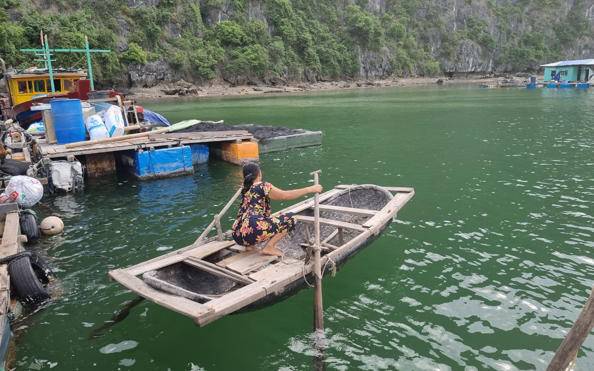 Hải Phòng: Tháo bỏ lồng bè trên Vịnh Lan Hạ, ngư dân mong được 'giải cứu'