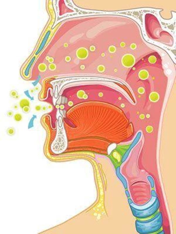 Thực hư việc súc miệng họng thường xuyên để ngừa COVID-19: Lời khuyên của bác sĩ chuyên khoa Tai-Mũi-Họng - Ảnh 2.