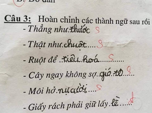  Học trò lớp 1 điền thành ngữ, giáo viên đọc xong muốn trầm cảm, nhưng dân mạng lại thi nhau chấm 10 điểm! - Ảnh 1.