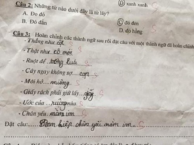  Học trò lớp 1 điền thành ngữ, giáo viên đọc xong muốn trầm cảm, nhưng dân mạng lại thi nhau chấm 10 điểm! - Ảnh 2.