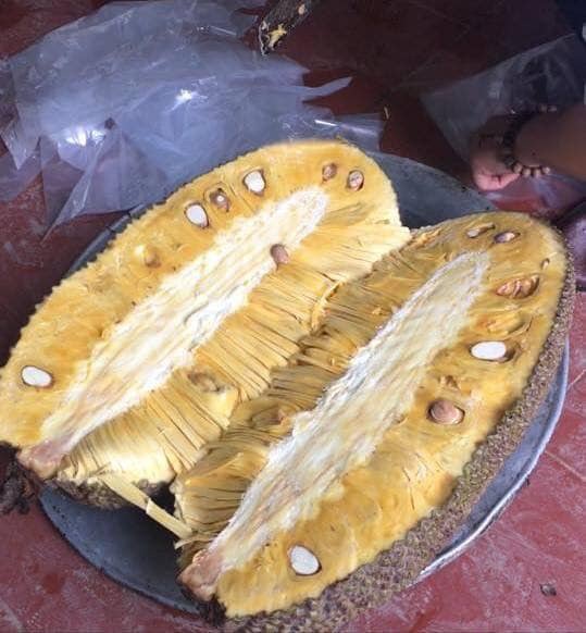 Lo&agrave;i m&iacute;t ngoại lai hiếm c&oacute; kh&oacute; t&igrave;m, quả d&agrave;i cả m&eacute;t như đột biến - Ảnh 3.