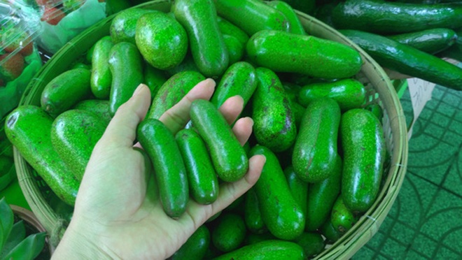 Bơ đực ăn đến nghiện, chị em săn lùng bằng được dù khó đặt hàng - Ảnh 1. Bơ đực ăn đến nghiện, chị em săn lùng bằng được dù khó đặt hàng - Ảnh 1.