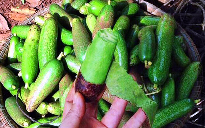 Bơ đực ăn đến nghiện, chị em săn lùng bằng được dù khó đặt hàng - Ảnh 5. Bơ đực ăn đến nghiện, chị em săn lùng bằng được dù khó đặt hàng - Ảnh 5.